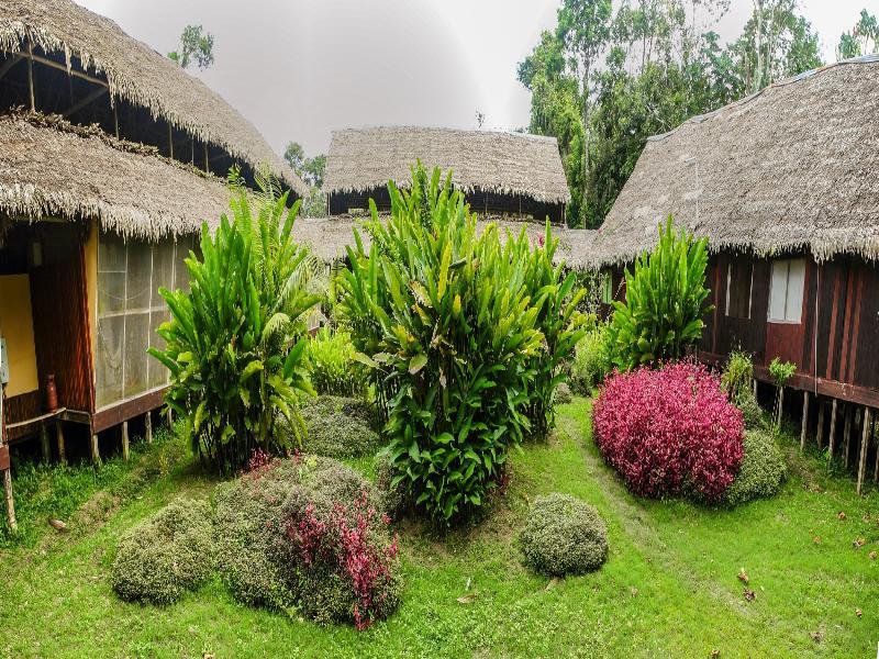 Heliconia Amazon River Lodge Francisco de Orellana Dış mekan fotoğraf