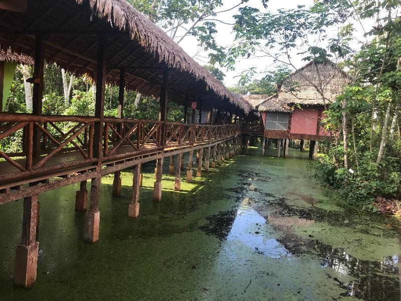 Heliconia Amazon River Lodge Francisco de Orellana Dış mekan fotoğraf